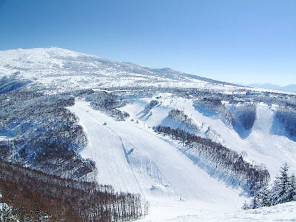 REWILD NINJA SNOW HIGHLAND